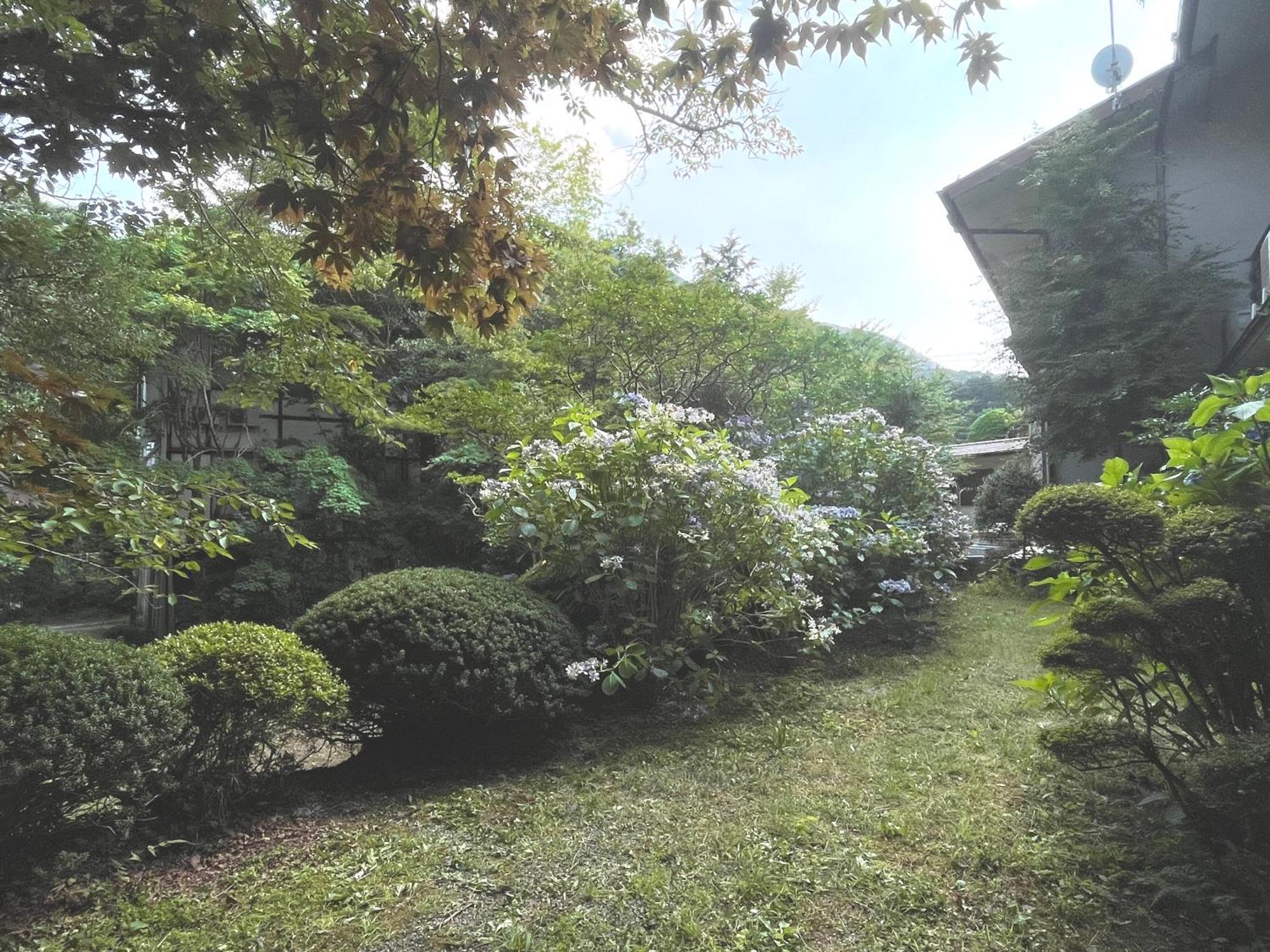 Hotel Mitake Hakone Exterior foto